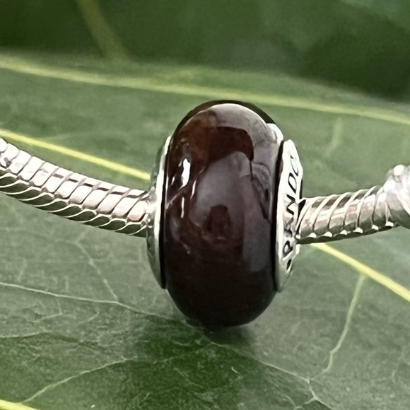 Pandora Brown Wooden Murano Glass Charm - Picture 1 of 6